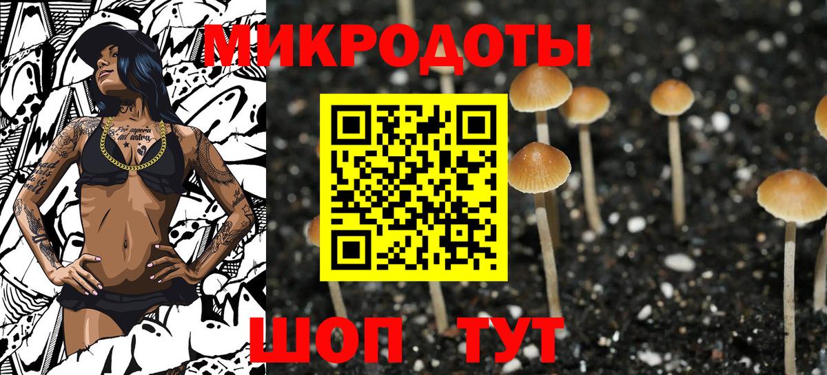 Галлюциногенные грибы MAGIC MUSHROOMS  Вход с VPN  Ачинск 